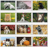 Pet Puppies & Kittens Calendar