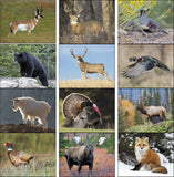 Pet Wildlife Portraits Calendar